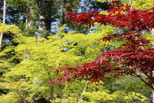 富士山温泉ホテル鐘山苑：５／１１＿７