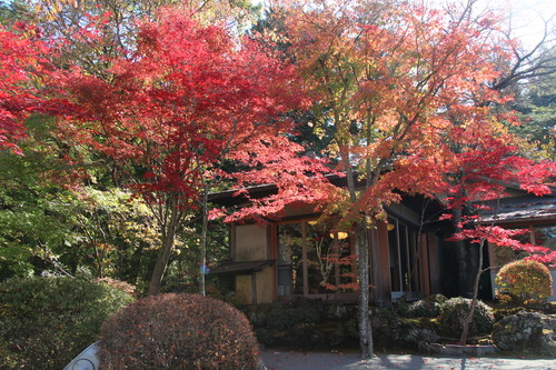 富士山温泉ホテル鐘山苑：１０／２６＿３