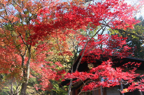 富士山温泉ホテル鐘山苑：１０／２６＿４