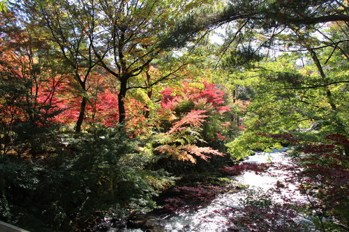 富士山温泉ホテル鐘山苑：１０／２６＿７