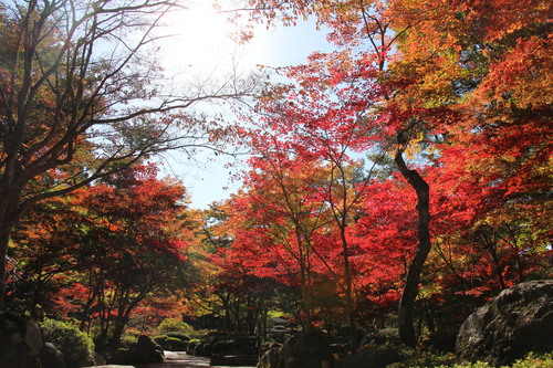 富士山温泉ホテル鐘山苑：１０／２６＿８