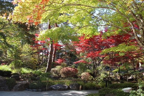 富士山温泉ホテル鐘山苑：１０／２６＿９