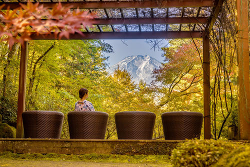 2024鐘山苑・紅葉まつり 11月1日(金)～10日(日)開催