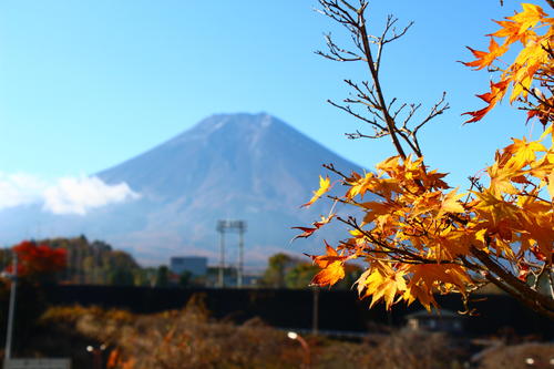 2024年庭園の紅葉情報№8